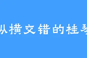 纵横交错的桂琴