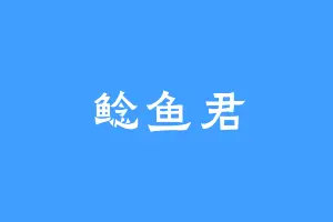 鲶鱼君