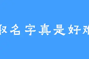 取名字真是好难