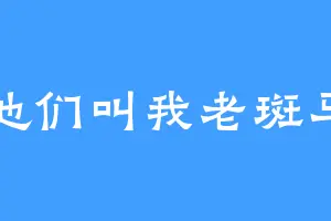 他们叫我老斑马