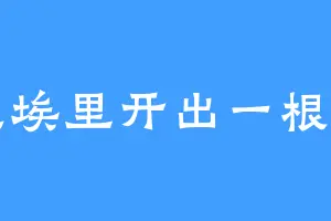 尘埃里开出一根烟