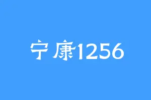 宁康1256