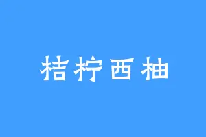 桔柠西柚
