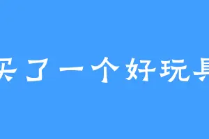 买了一个好玩具