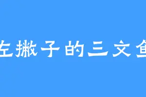 左撇子的三文鱼