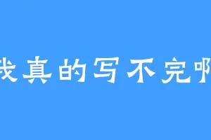 我真的写不完啊