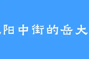 沈阳中街的岳大兴