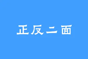 正反二面