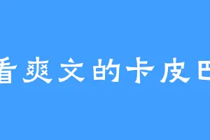 爱看爽文的卡皮巴拉