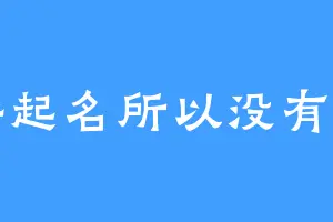 懒得起名所以没有名字