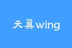 天翼wing