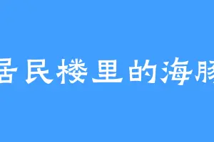 居民楼里的海豚
