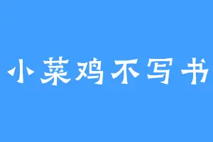 小菜鸡不写书